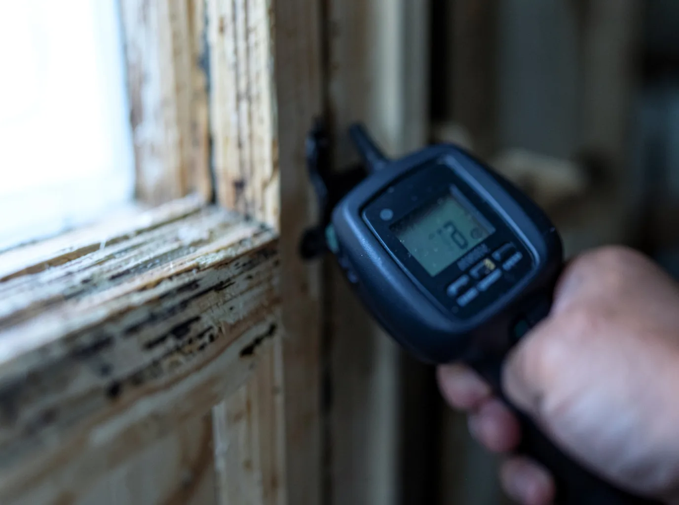 Ceiling Water Damage Repair in Sula, MT